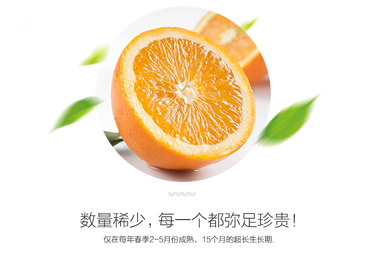 正宗秭归伦晚甜橙子 现摘当季新鲜水果 精品大果15-18颗礼盒装带箱10斤净8.8斤(图4)