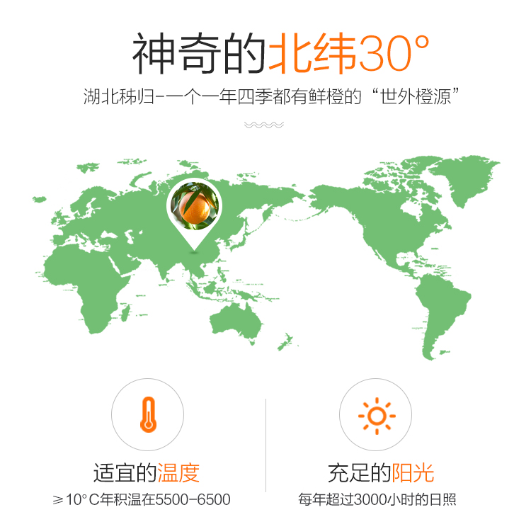 正宗秭归伦晚甜橙子 现摘当季新鲜水果 精品大果15-18颗礼盒装带箱10斤净8.8斤(图6)