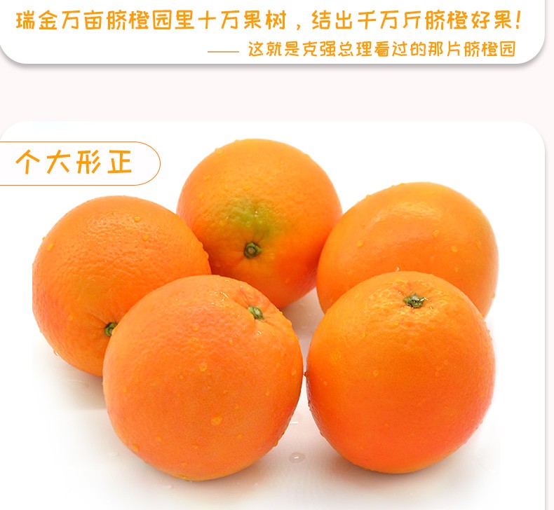 赣南夏橙脐橙新鲜水果年货送礼现摘水果礼盒带箱10斤单果果径80-89mm(图3)