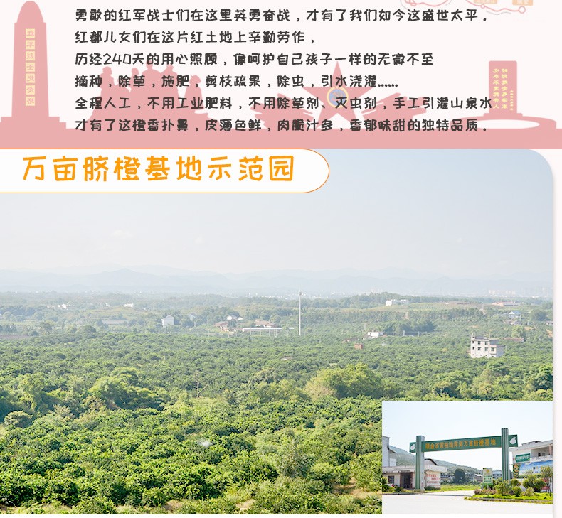 赣南夏橙脐橙新鲜水果年货送礼现摘水果礼盒带箱10斤单果果径80-89mm(图2)