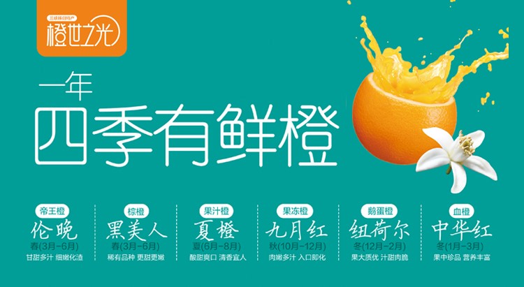 秭归脐橙果汁橙榨汁橙酸甜橙子 现摘当季新鲜水果 中大果混装 带箱10斤净9斤(图1)