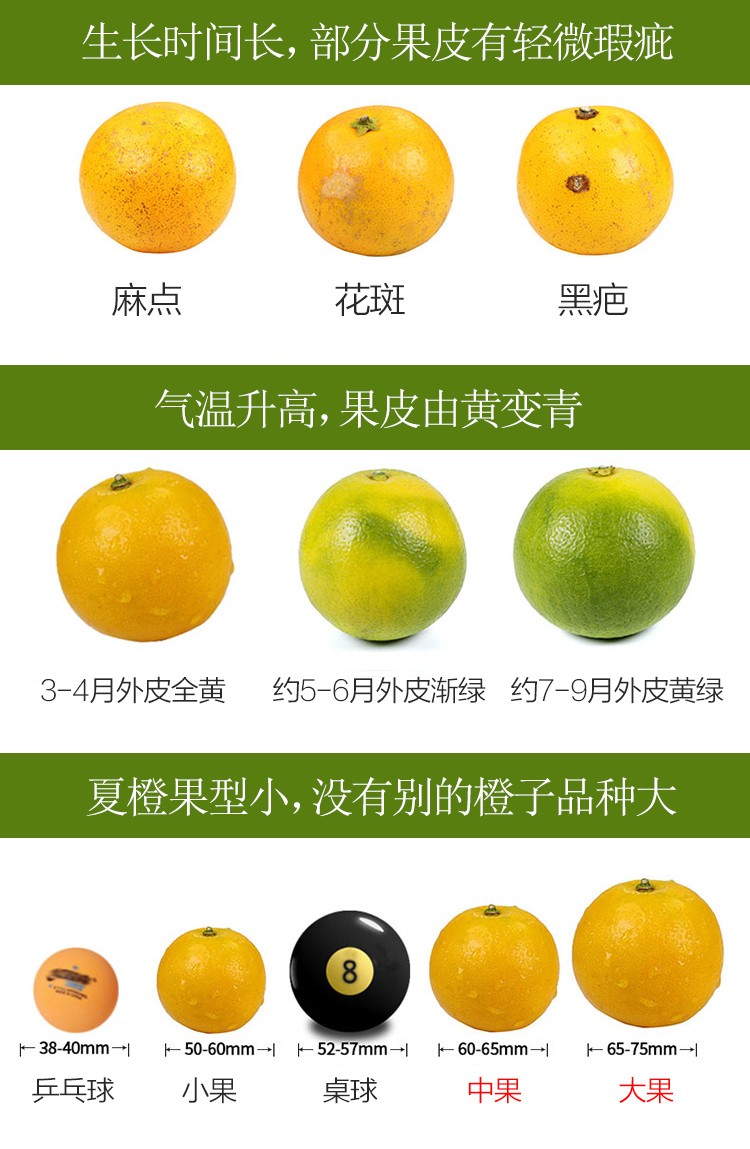 秭归脐橙果汁橙榨汁橙酸甜橙子 现摘当季新鲜水果 中大果混装 带箱10斤净9斤(图8)